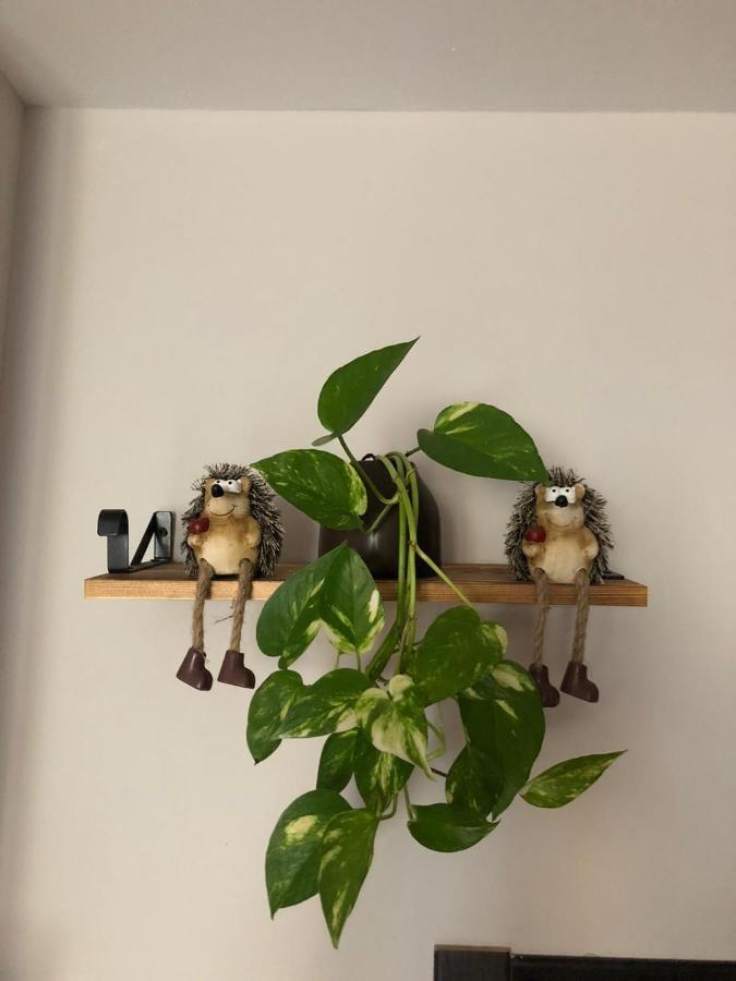הוילה סגוביה La Casita De Pedraza מראה חיצוני תמונה